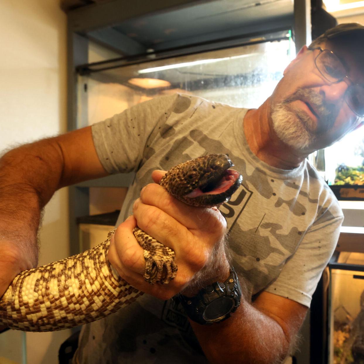 Pinal's People: Animals at the center, community at the heart of Rakoci's passions